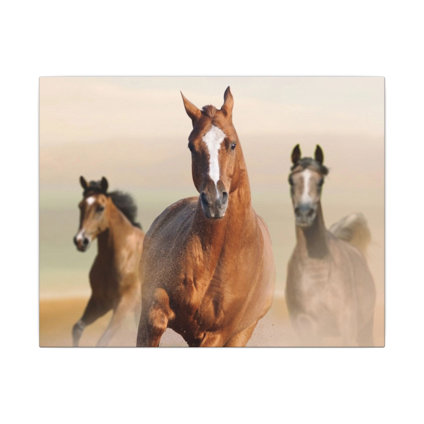 Horse Art Canvas Print, Animal Decor, Equestrian Gift, Wall Art, Nature Wall Decor, Unique Home Decoration