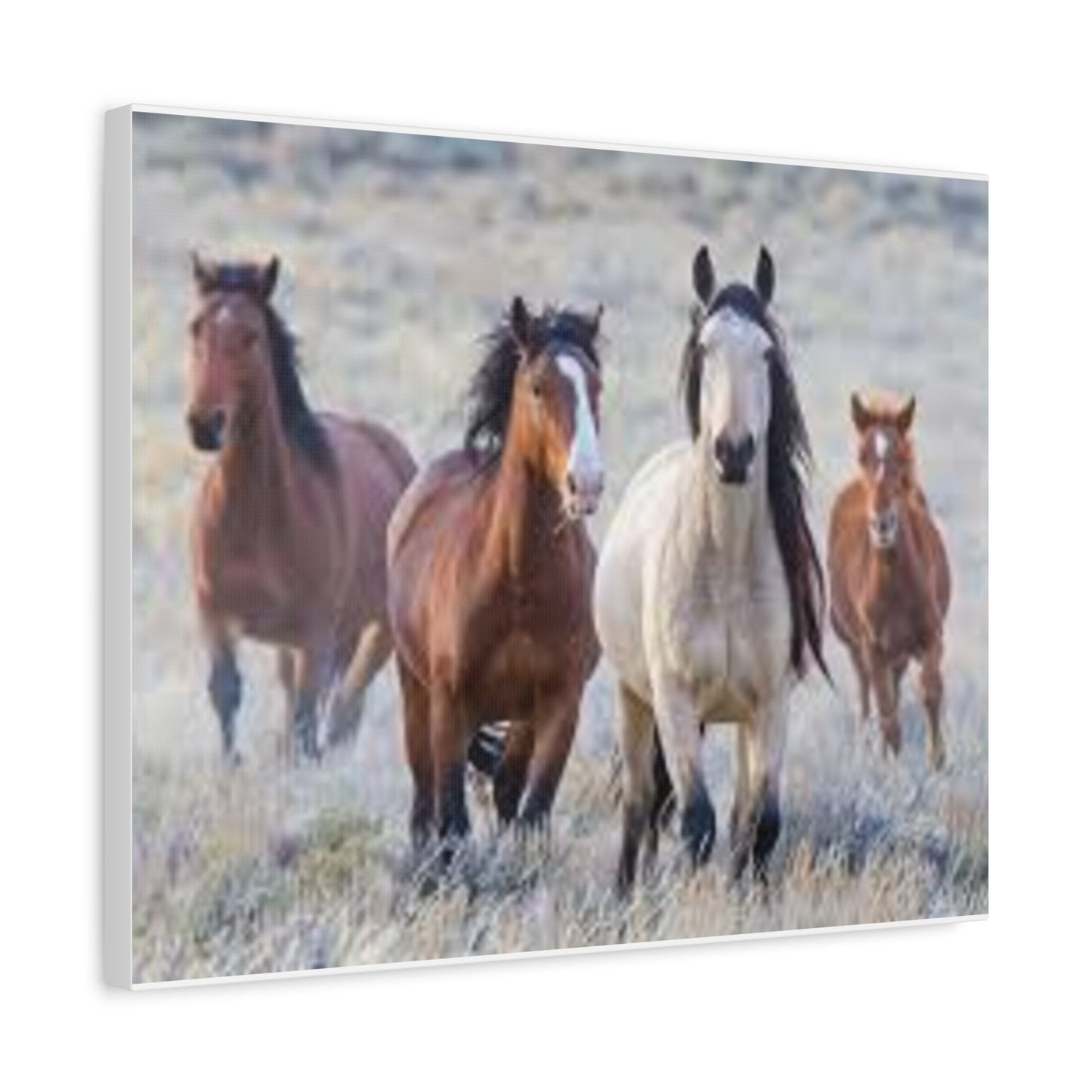 Equine Nature Wall Art, Horse Decor, Stretched Canvas Print, Gift for Horse Lovers, Rustic Home Wall Art, Equine Photography