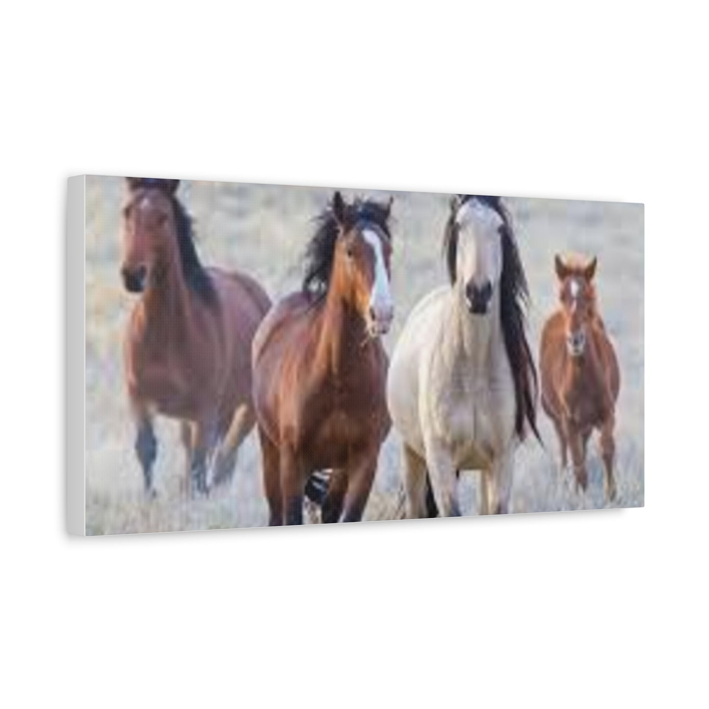 Equine Nature Wall Art, Horse Decor, Stretched Canvas Print, Gift for Horse Lovers, Rustic Home Wall Art, Equine Photography