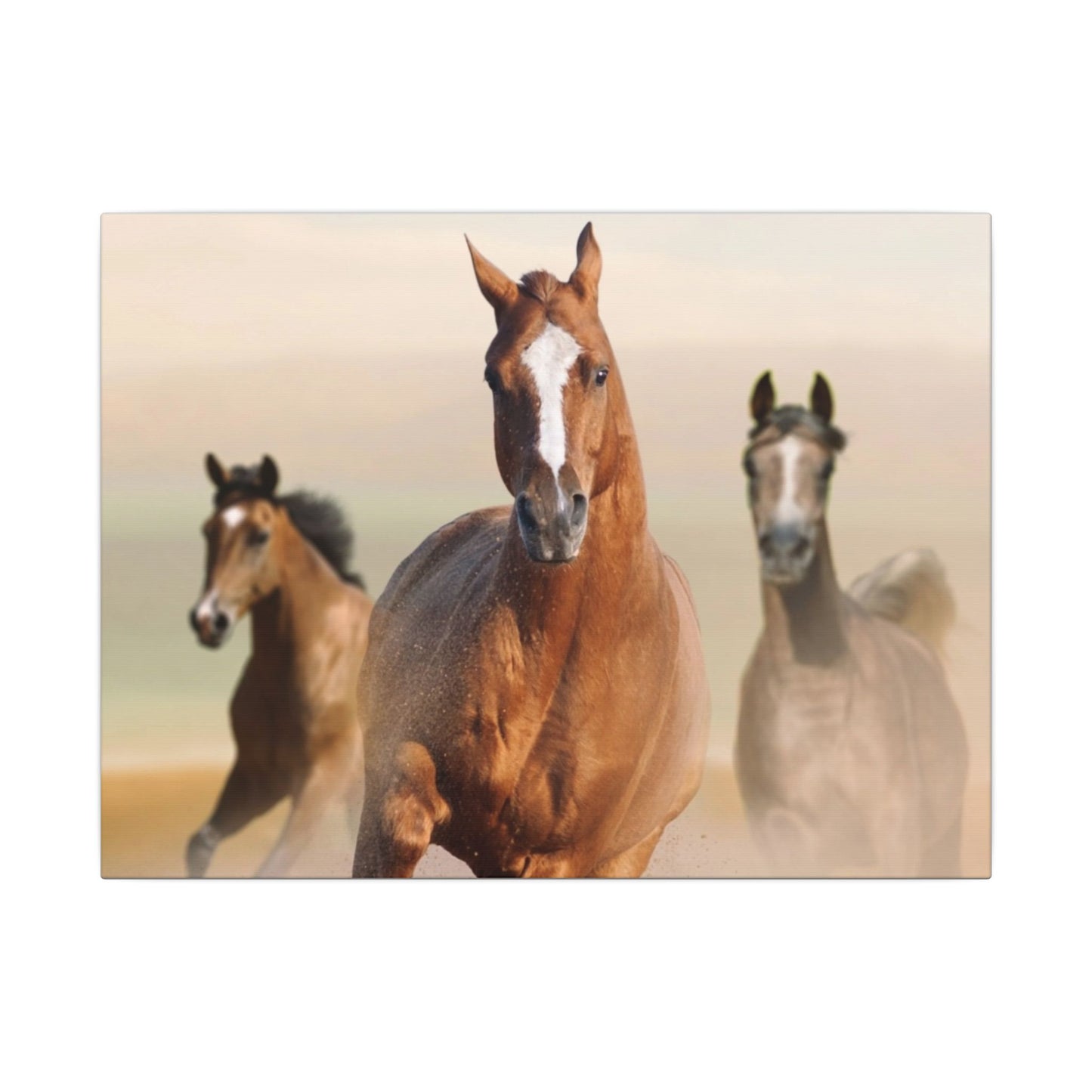 Horse Art Canvas Print, Animal Decor, Equestrian Gift, Wall Art, Nature Wall Decor, Unique Home Decoration