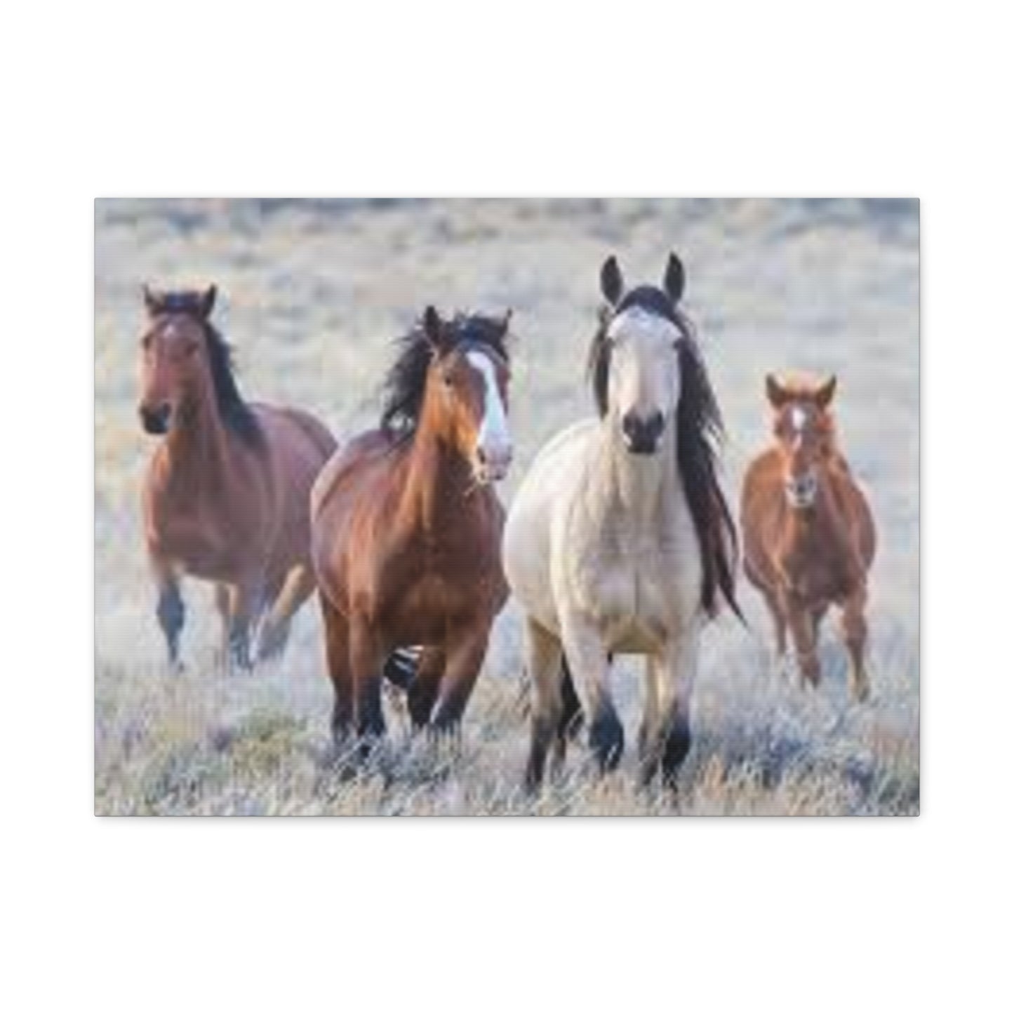 Equine Nature Wall Art, Horse Decor, Stretched Canvas Print, Gift for Horse Lovers, Rustic Home Wall Art, Equine Photography