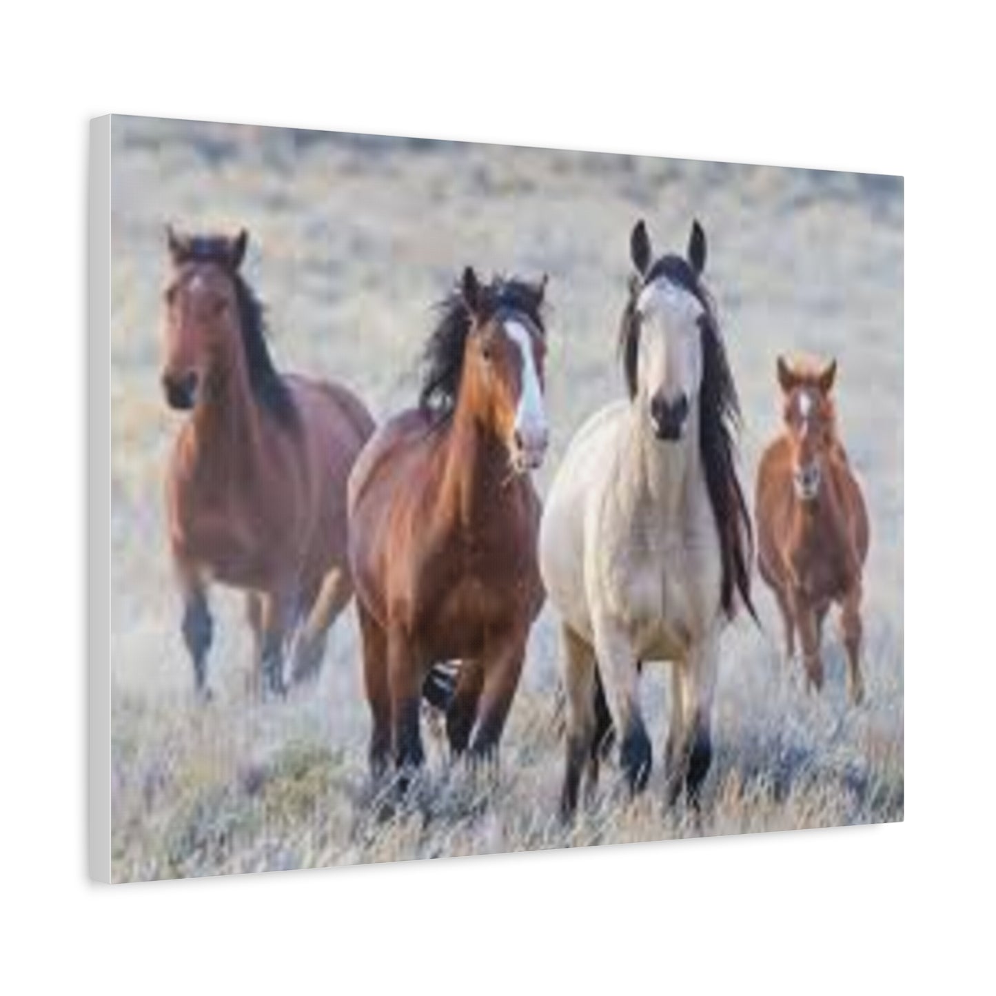 Equine Nature Wall Art, Horse Decor, Stretched Canvas Print, Gift for Horse Lovers, Rustic Home Wall Art, Equine Photography