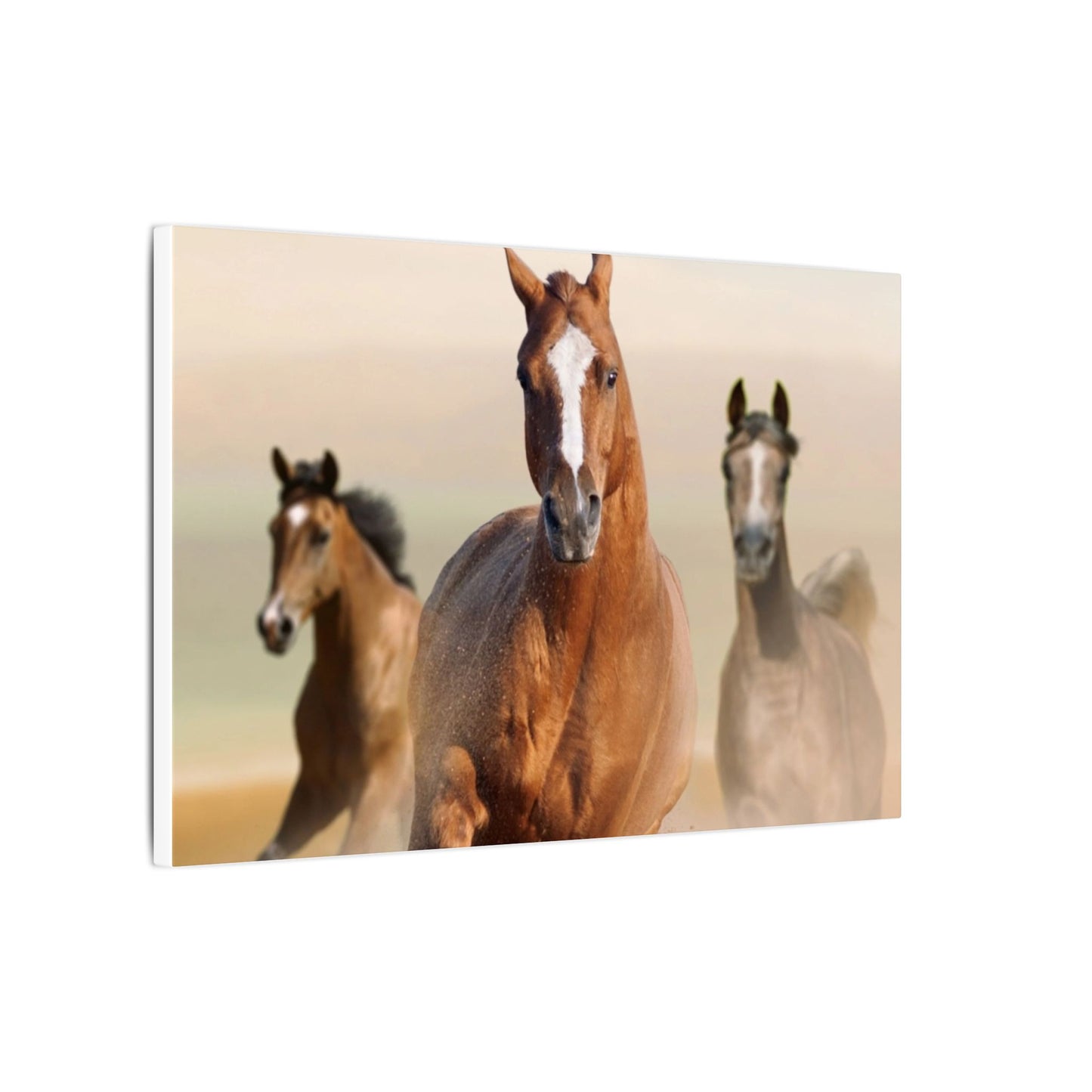 Horse Art Canvas Print, Animal Decor, Equestrian Gift, Wall Art, Nature Wall Decor, Unique Home Decoration