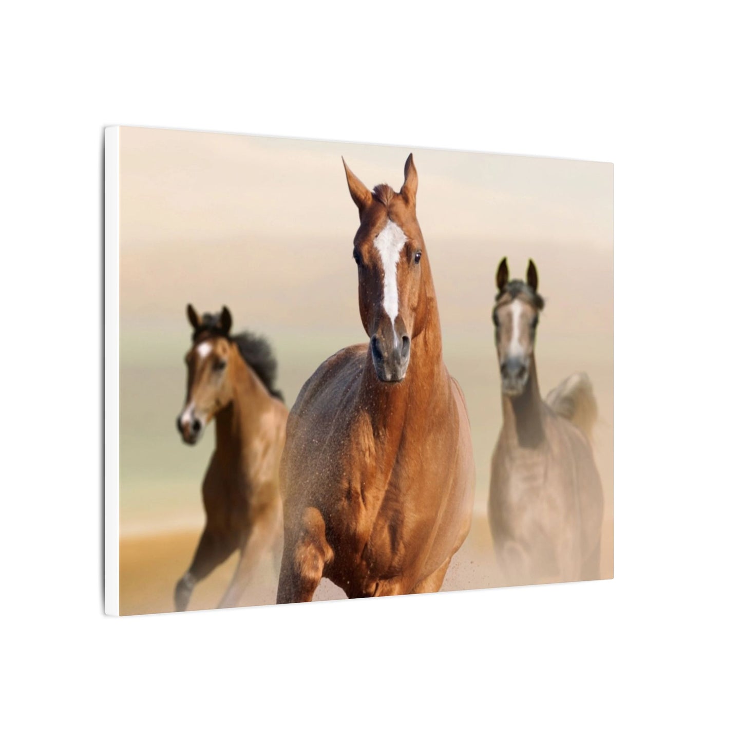 Horse Art Canvas Print, Animal Decor, Equestrian Gift, Wall Art, Nature Wall Decor, Unique Home Decoration