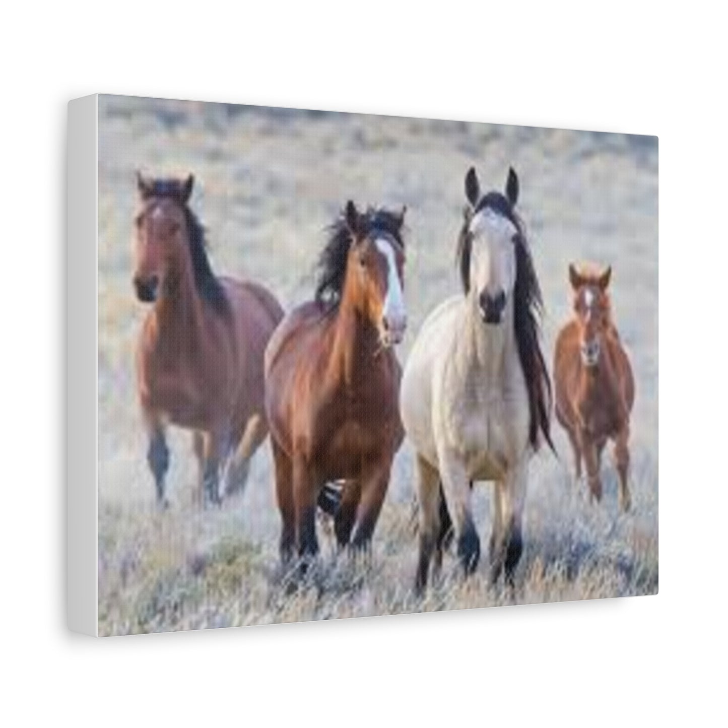 Equine Nature Wall Art, Horse Decor, Stretched Canvas Print, Gift for Horse Lovers, Rustic Home Wall Art, Equine Photography