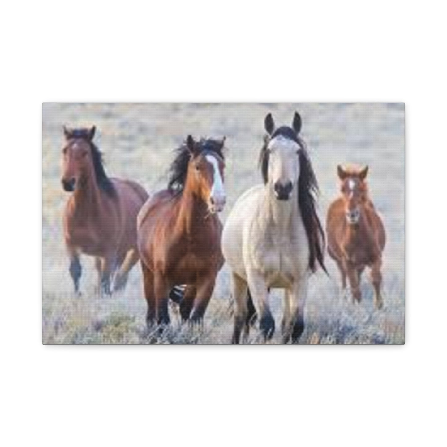 Equine Nature Wall Art, Horse Decor, Stretched Canvas Print, Gift for Horse Lovers, Rustic Home Wall Art, Equine Photography