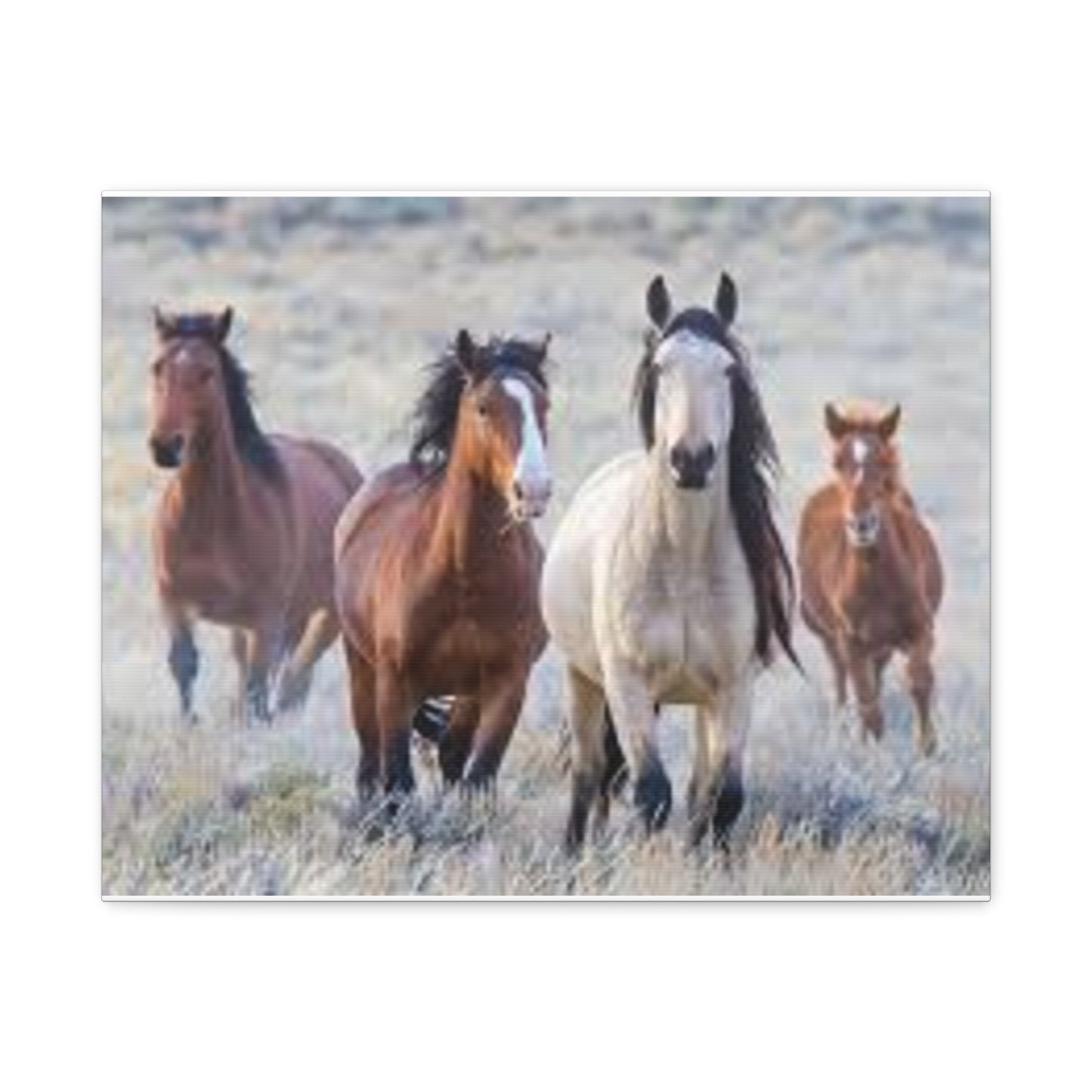 Equine Nature Wall Art, Horse Decor, Stretched Canvas Print, Gift for Horse Lovers, Rustic Home Wall Art, Equine Photography