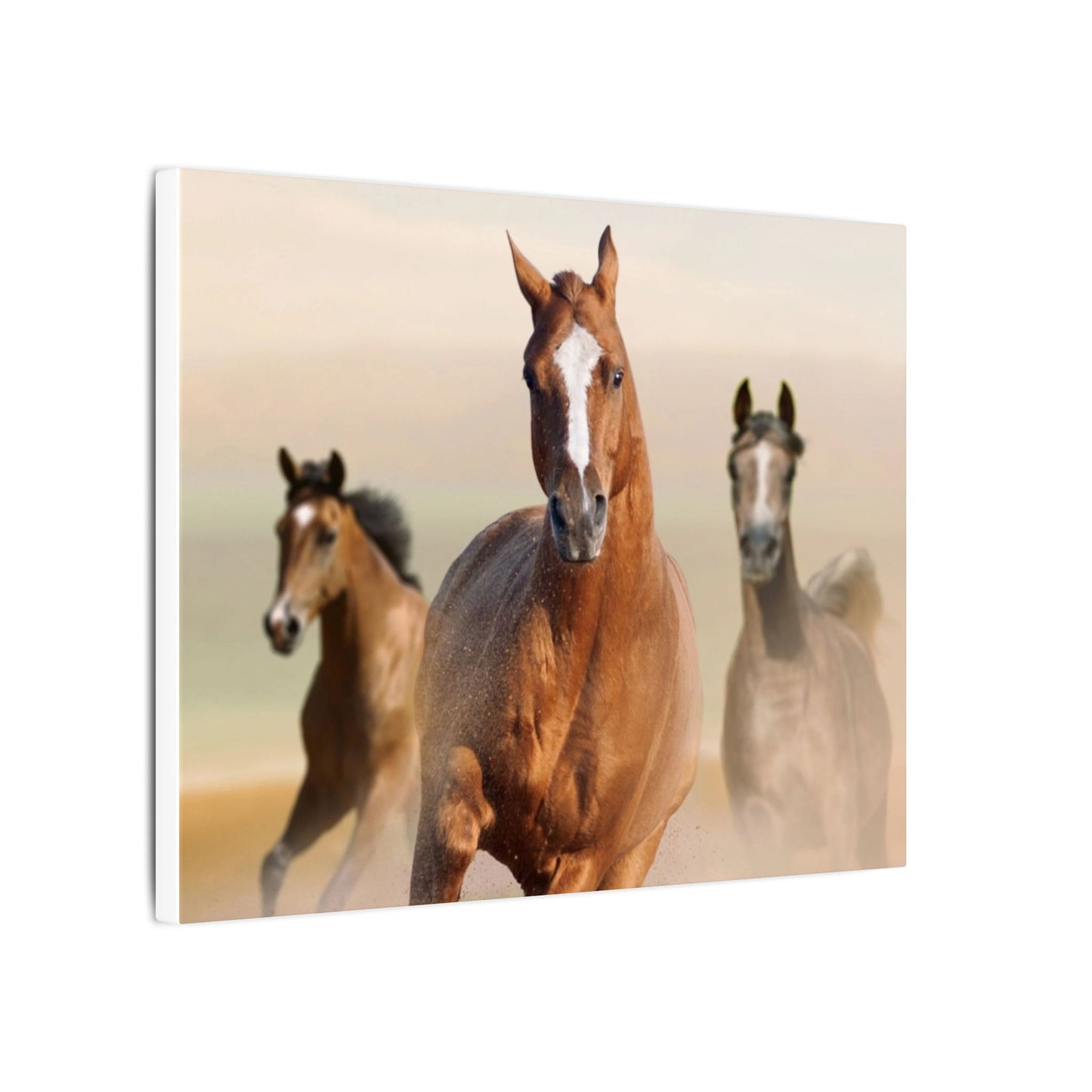 Horse Art Canvas Print, Animal Decor, Equestrian Gift, Wall Art, Nature Wall Decor, Unique Home Decoration