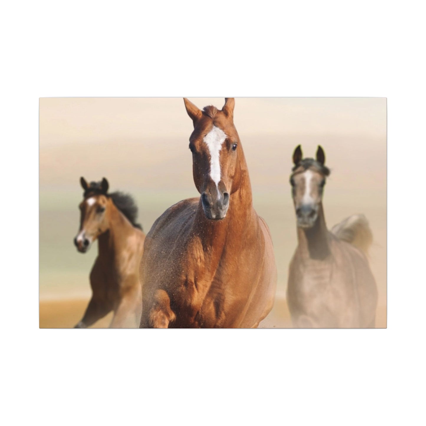 Horse Art Canvas Print, Animal Decor, Equestrian Gift, Wall Art, Nature Wall Decor, Unique Home Decoration