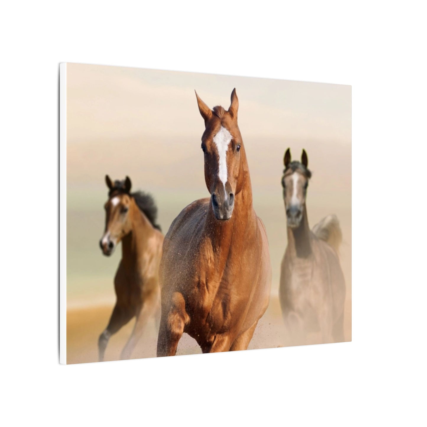Horse Art Canvas Print, Animal Decor, Equestrian Gift, Wall Art, Nature Wall Decor, Unique Home Decoration