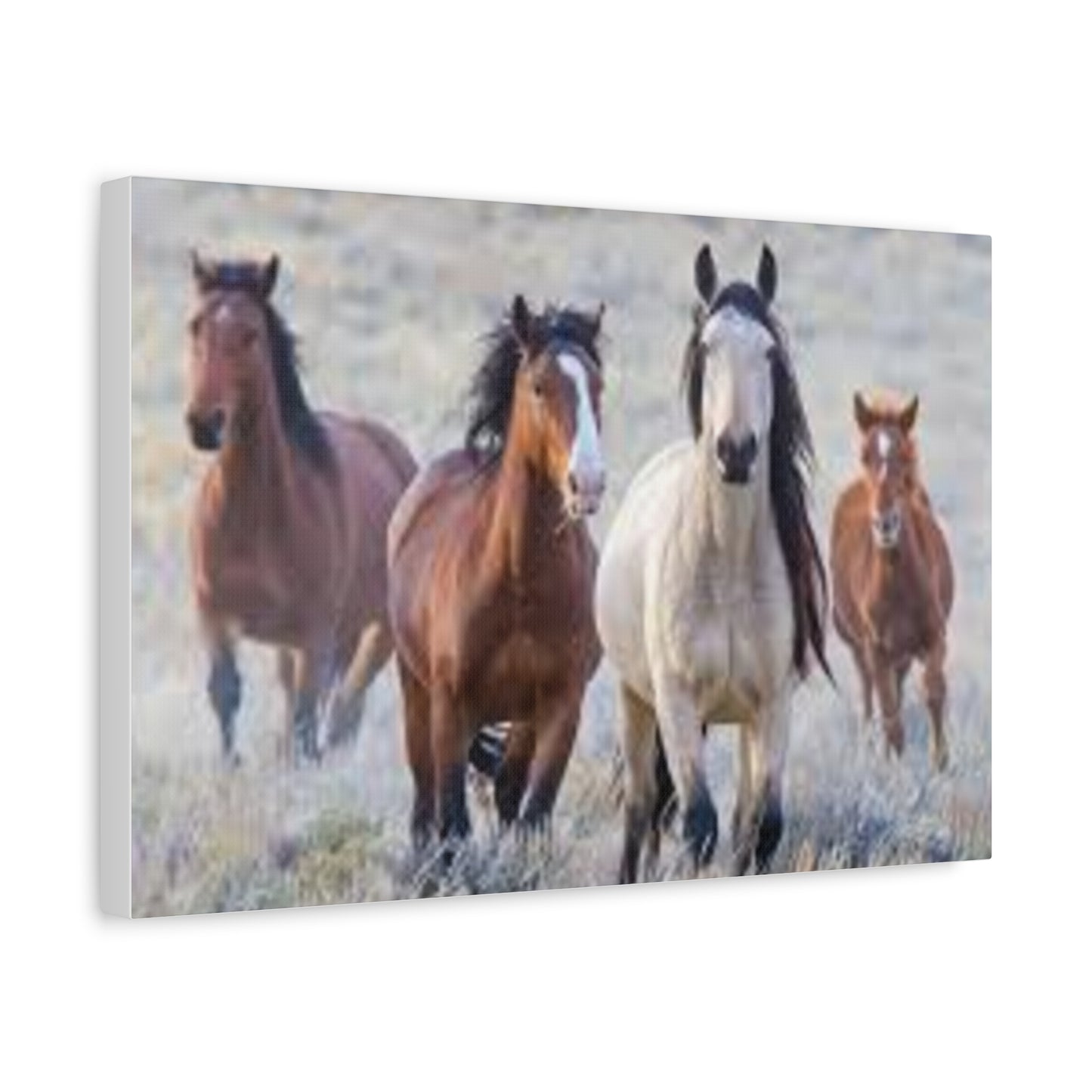 Equine Nature Wall Art, Horse Decor, Stretched Canvas Print, Gift for Horse Lovers, Rustic Home Wall Art, Equine Photography