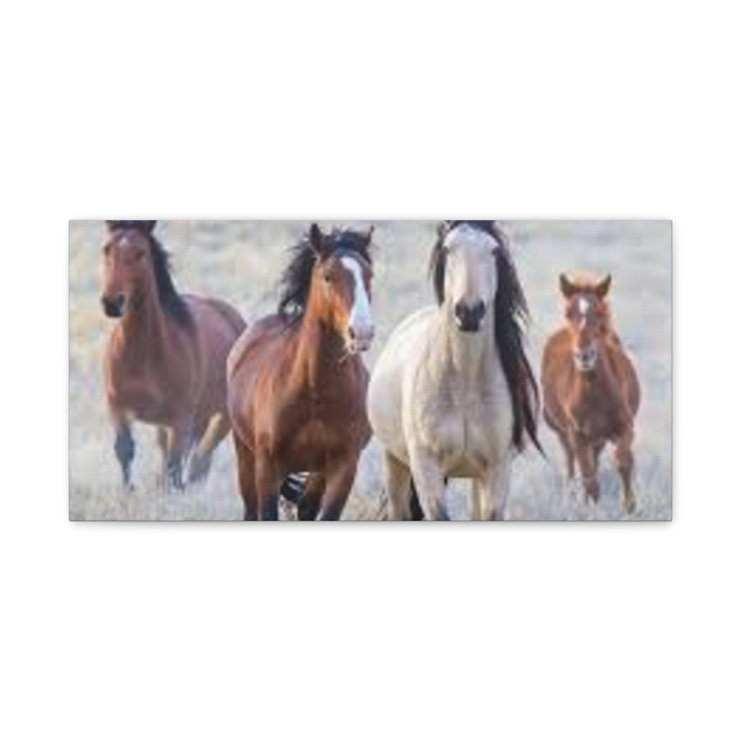 Equine Nature Wall Art, Horse Decor, Stretched Canvas Print, Gift for Horse Lovers, Rustic Home Wall Art, Equine Photography