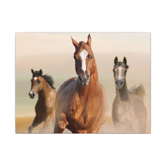 Horse Art Canvas Print, Animal Decor, Equestrian Gift, Wall Art, Nature Wall Decor, Unique Home Decoration