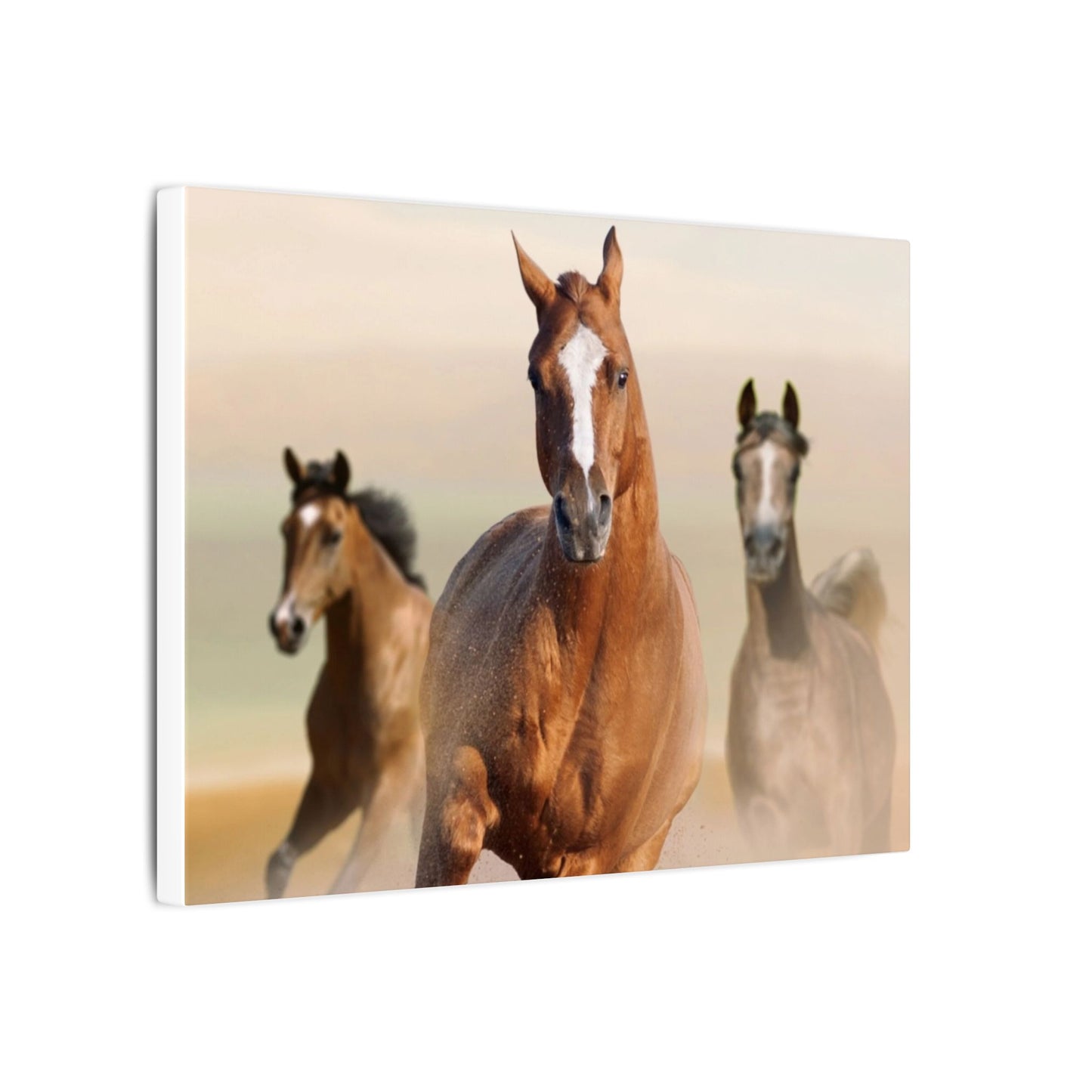 Horse Art Canvas Print, Animal Decor, Equestrian Gift, Wall Art, Nature Wall Decor, Unique Home Decoration