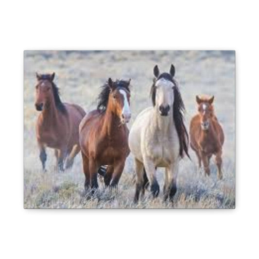 Equine Nature Wall Art, Horse Decor, Stretched Canvas Print, Gift for Horse Lovers, Rustic Home Wall Art, Equine Photography