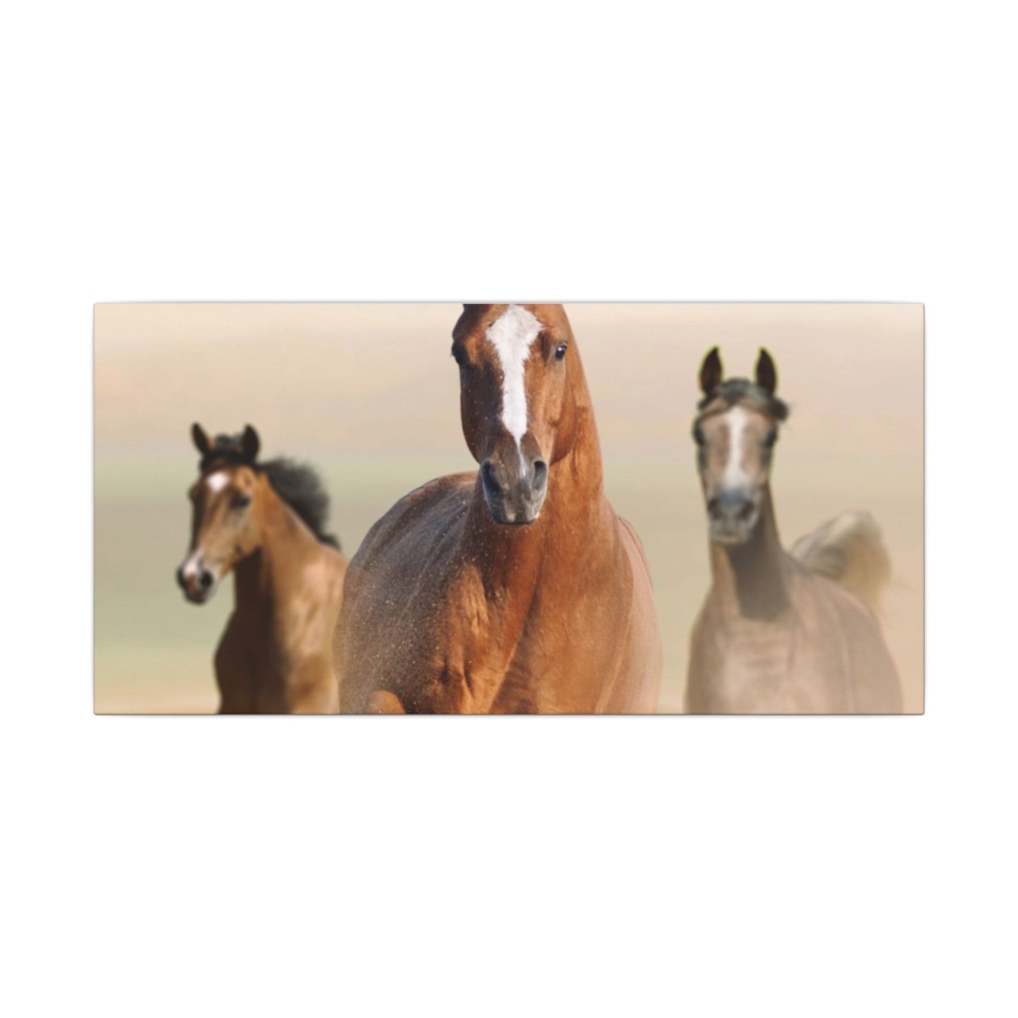 Horse Art Canvas Print, Animal Decor, Equestrian Gift, Wall Art, Nature Wall Decor, Unique Home Decoration