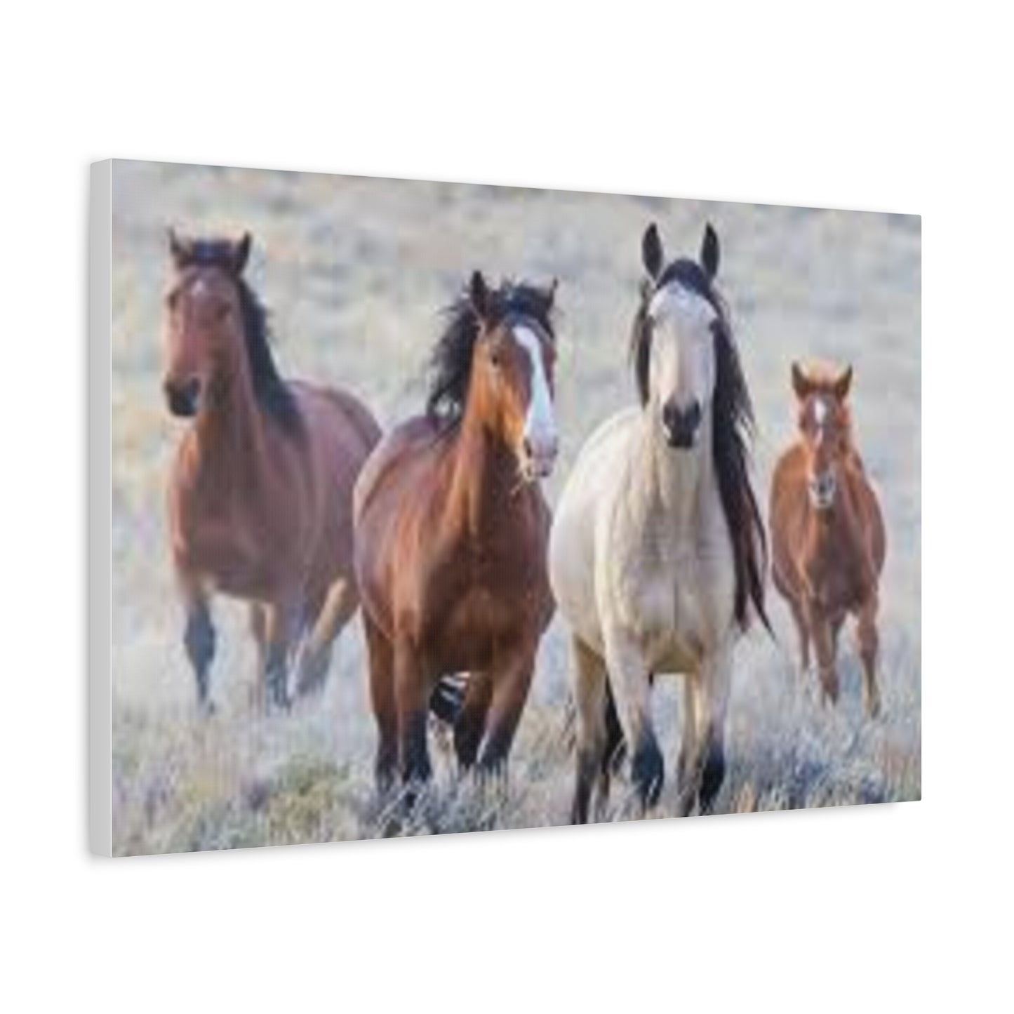 Equine Nature Wall Art, Horse Decor, Stretched Canvas Print, Gift for Horse Lovers, Rustic Home Wall Art, Equine Photography
