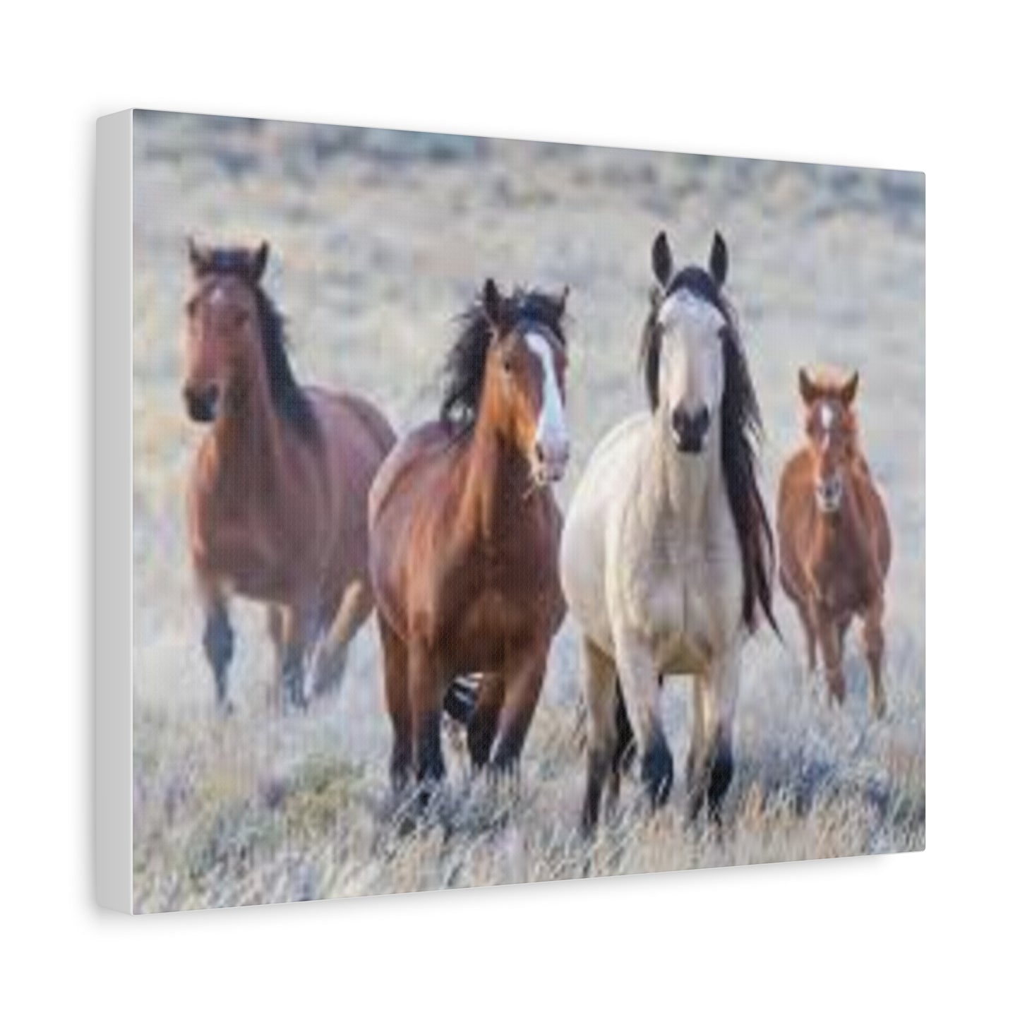 Equine Nature Wall Art, Horse Decor, Stretched Canvas Print, Gift for Horse Lovers, Rustic Home Wall Art, Equine Photography