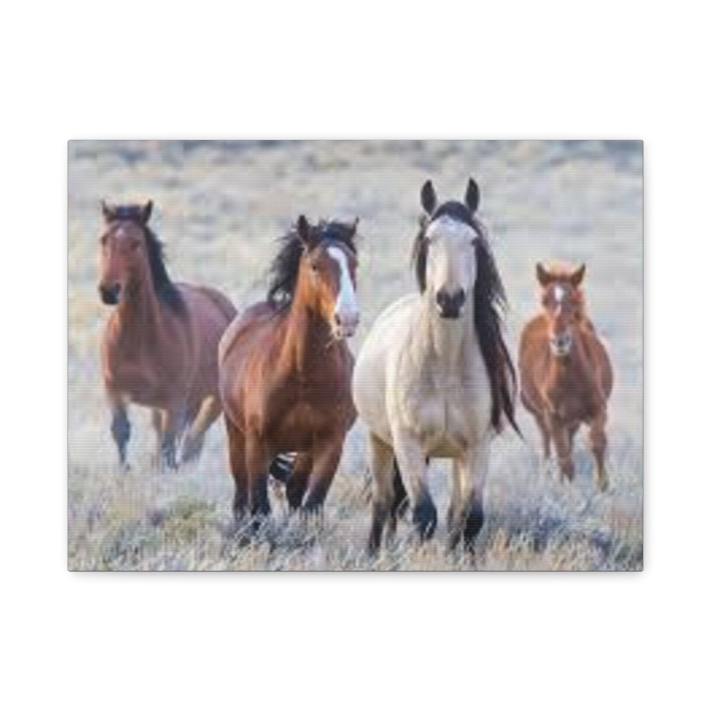 Equine Nature Wall Art, Horse Decor, Stretched Canvas Print, Gift for Horse Lovers, Rustic Home Wall Art, Equine Photography